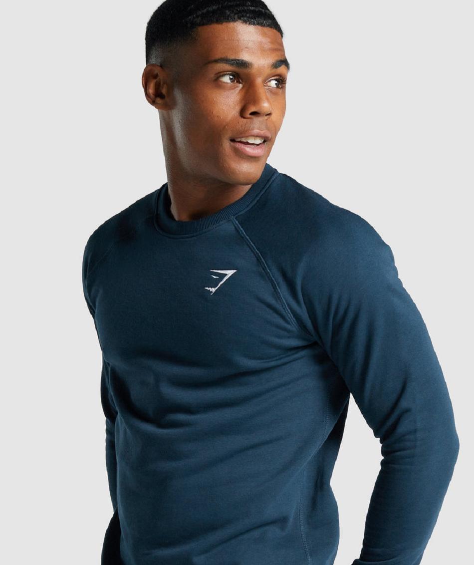 Correr Con Capucha Gymshark Crest Sweatshirt Hombre Azul Marino | CO 3662PJJ